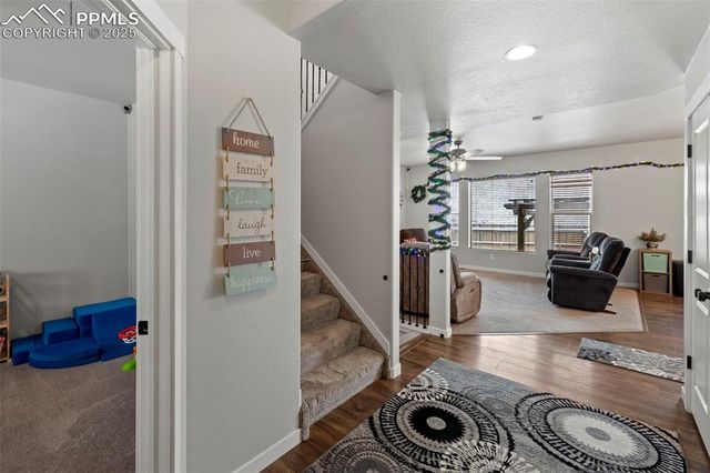 2892 Pony Club Lane, Colorado Springs, CO 80922