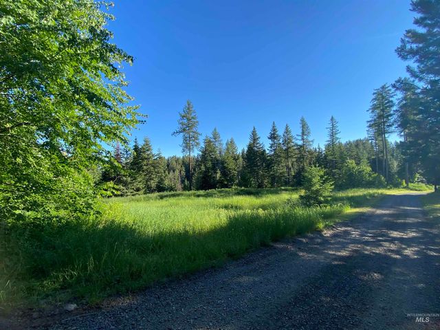 TBD Buckboard Lane, Waha, ID 83501