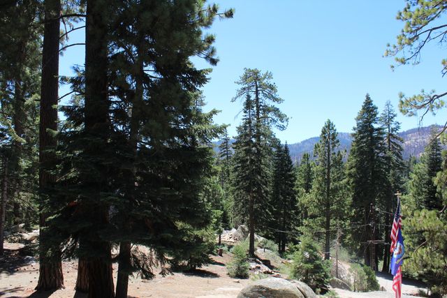 57941 Summit Drive, Ponderosa, CA 93265