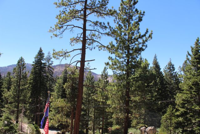 57941 Summit Drive, Ponderosa, CA 93265