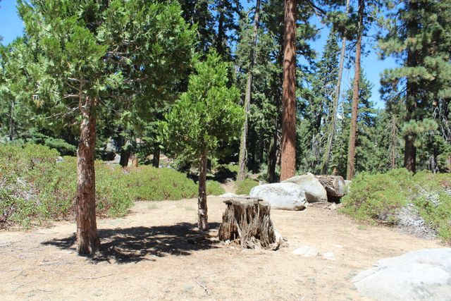 57941 Summit Drive, Ponderosa, CA 93265