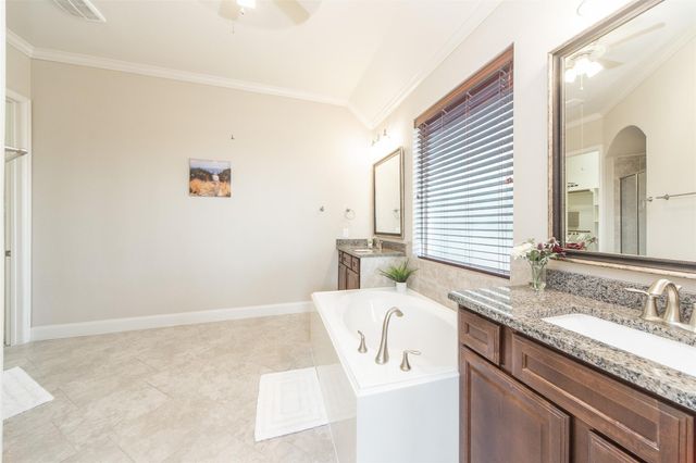 19738 Tacoma Bluff Drive, Katy, TX 77433