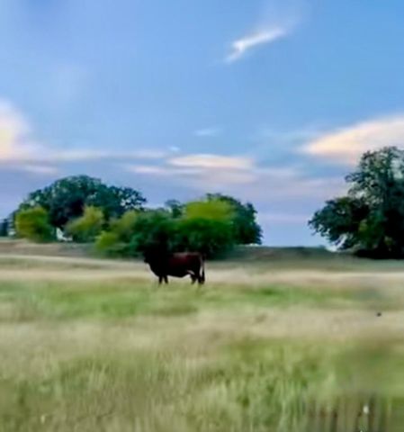 2186 Gilliland Road, Springtown, TX 76082