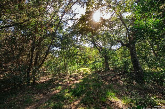 2581 Patterson Creek Road, Leakey, TX 78873