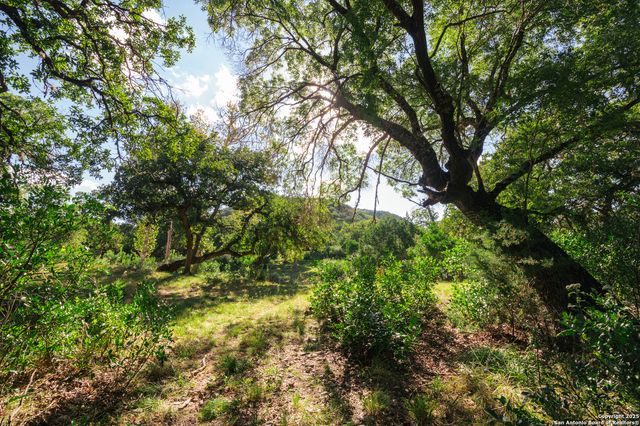 2581 Patterson Creek Road, Leakey, TX 78873