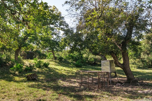 2581 Patterson Creek Road, Leakey, TX 78873