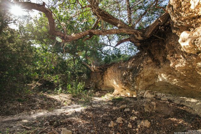 2581 Patterson Creek Road, Leakey, TX 78873