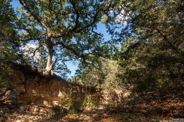 2581 Patterson Creek Road, Leakey, TX 78873