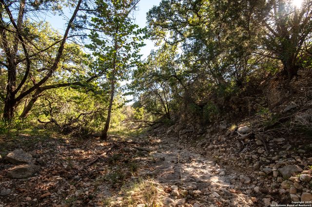 2581 Patterson Creek Road, Leakey, TX 78873