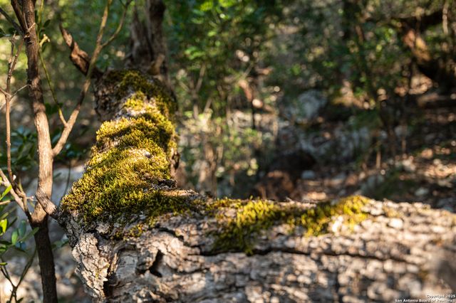 2581 Patterson Creek Road, Leakey, TX 78873