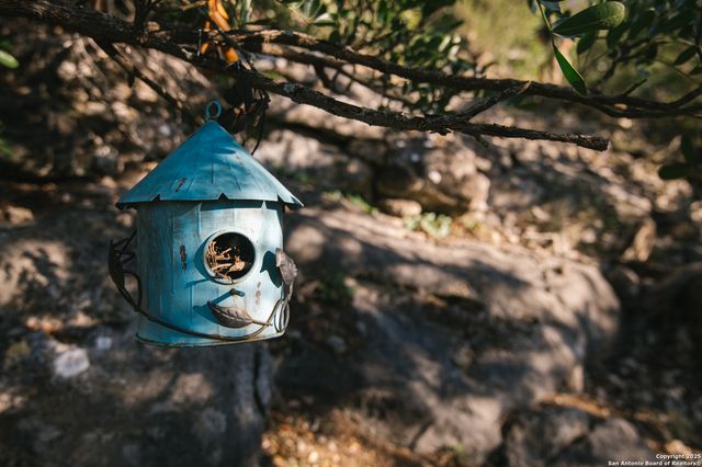 2581 Patterson Creek Road, Leakey, TX 78873