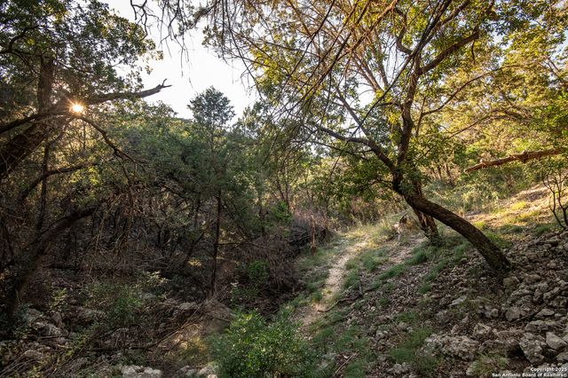 2581 Patterson Creek Road, Leakey, TX 78873