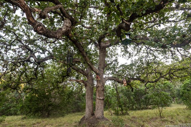 2581 Patterson Creek Road, Leakey, TX 78873