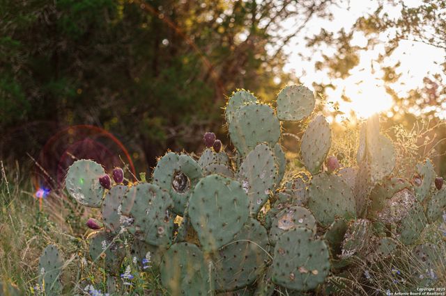 2581 Patterson Creek Road, Leakey, TX 78873