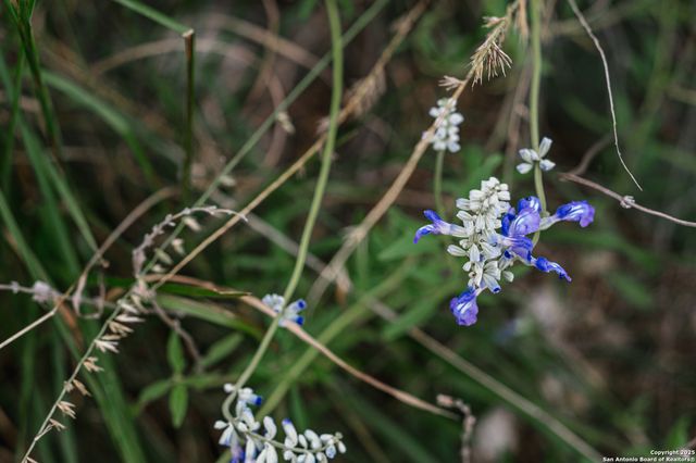 2581 Patterson Creek Road, Leakey, TX 78873
