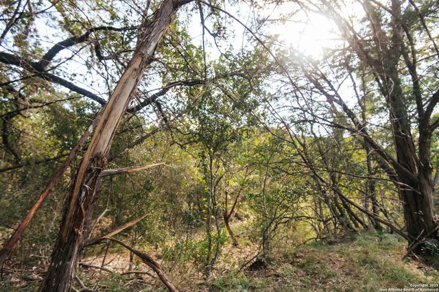 2581 Patterson Creek Road, Leakey, TX 78873