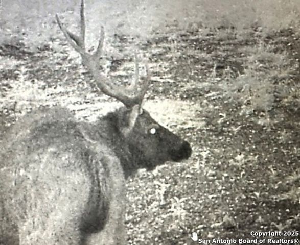 2581 Patterson Creek Road, Leakey, TX 78873