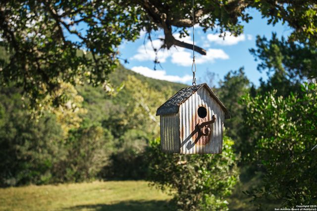 2581 Patterson Creek Road, Leakey, TX 78873