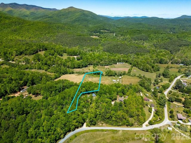 230 Harlow and Cricket Drive, Balsam Grove, NC 28708