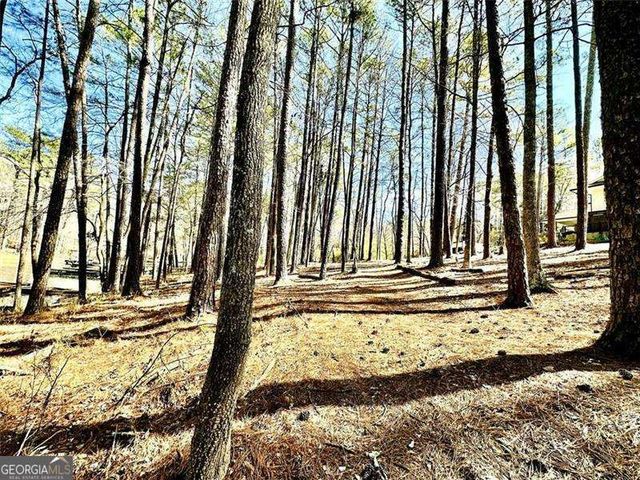 504 N Little Victoria Road, Woodstock, GA 30189