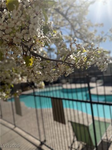 8400 West Charleston Boulevard 237, Las Vegas, NV 89117