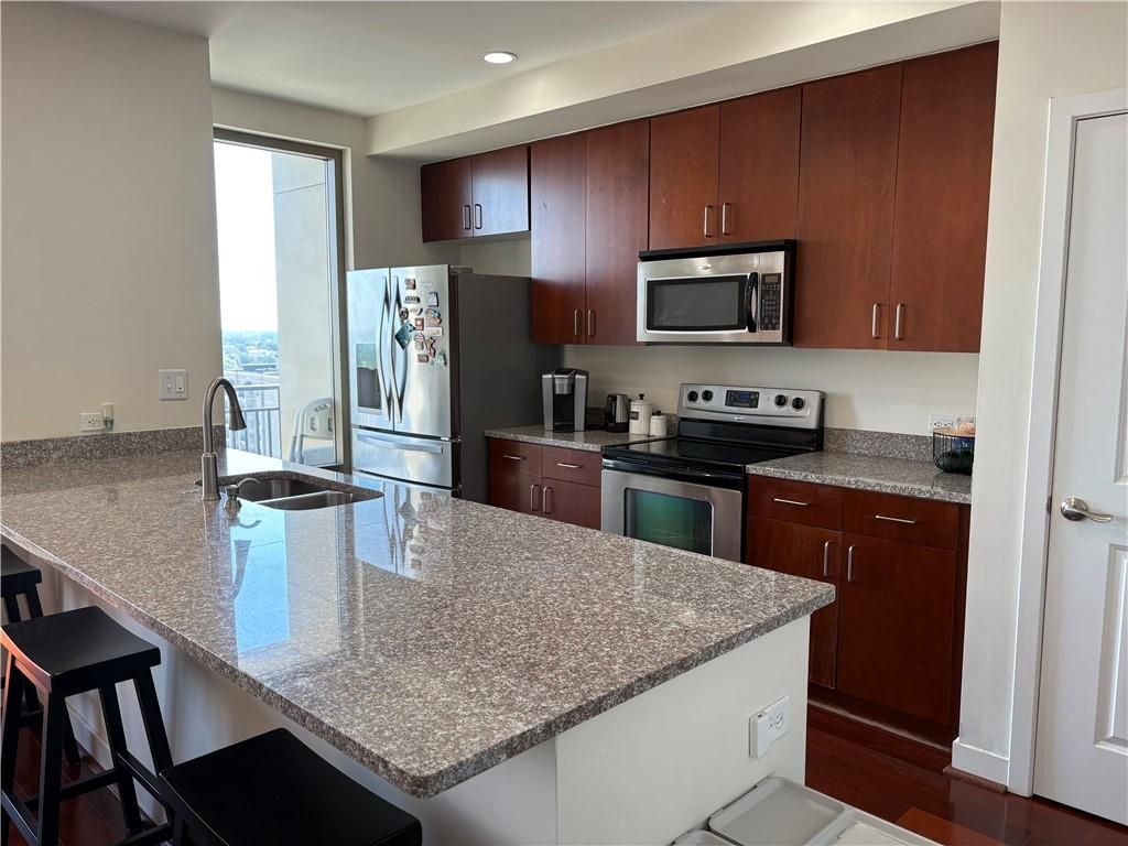 565 Peachtree NE Street 1511, Atlanta, GA 30308