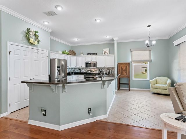 12209 SE 174TH PLACE, Summerfield, FL 34491