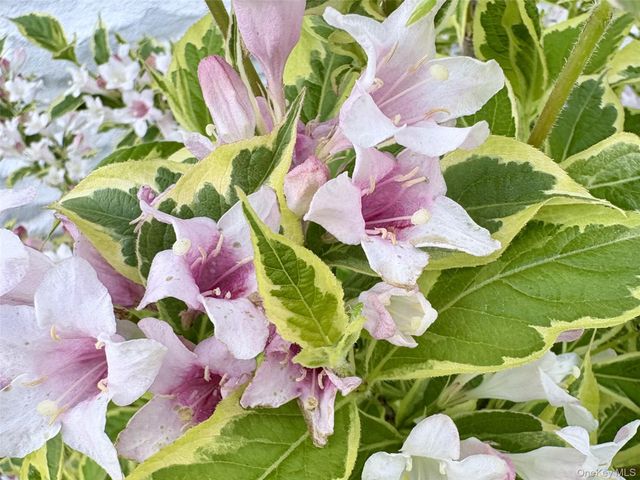 8 Harper Avenue, Montrose, NY 10548