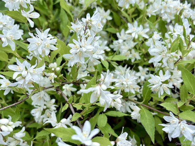 8 Harper Avenue, Montrose, NY 10548