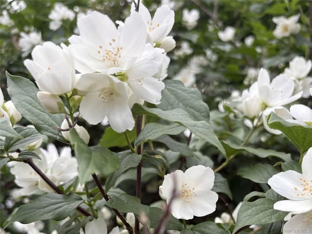 8 Harper Avenue, Montrose, NY 10548