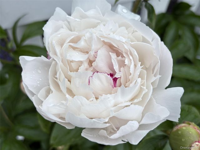 8 Harper Avenue, Montrose, NY 10548