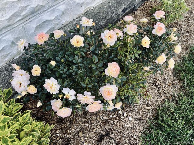 8 Harper Avenue, Montrose, NY 10548