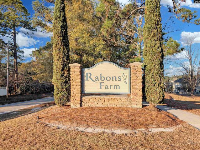 1253 Rabon Pond Drive, Columbia, SC 29223