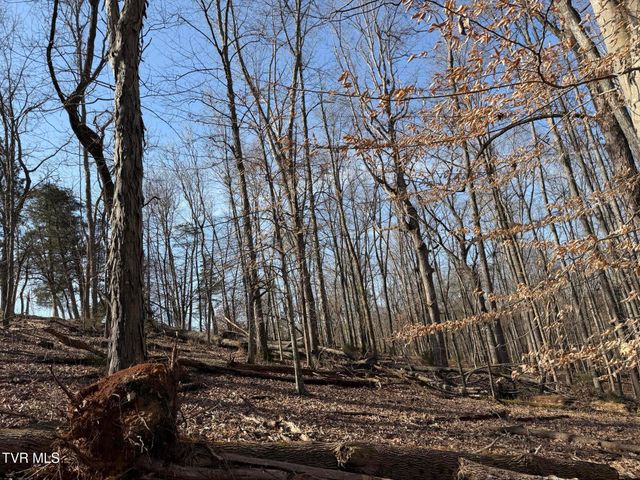 1578 Hunting Hill Road, Bluff City, TN 37618