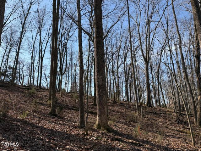 1578 Hunting Hill Road, Bluff City, TN 37618