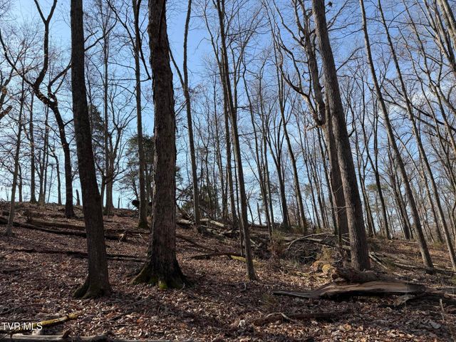 1578 Hunting Hill Road, Bluff City, TN 37618