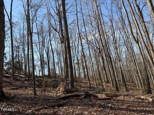 1578 Hunting Hill Road, Bluff City, TN 37618