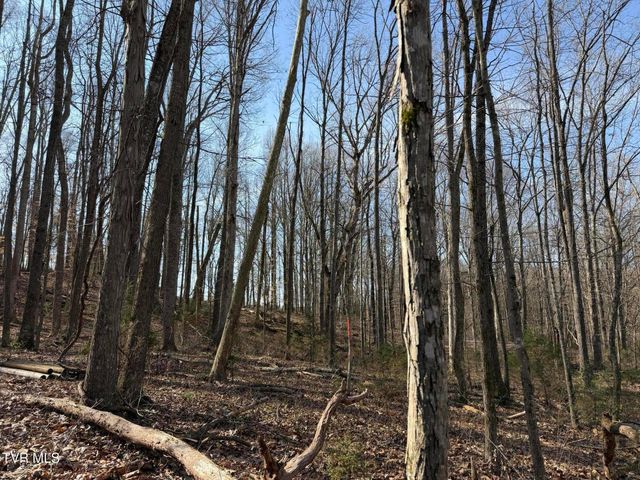 1578 Hunting Hill Road, Bluff City, TN 37618