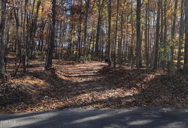 1578 Hunting Hill Road, Bluff City, TN 37618
