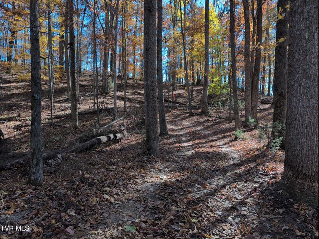 1578 Hunting Hill Road, Bluff City, TN 37618