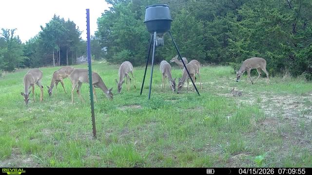 7032 Fm 1567, Lone Oak, TX 75453