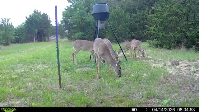 7032 Fm 1567, Lone Oak, TX 75453
