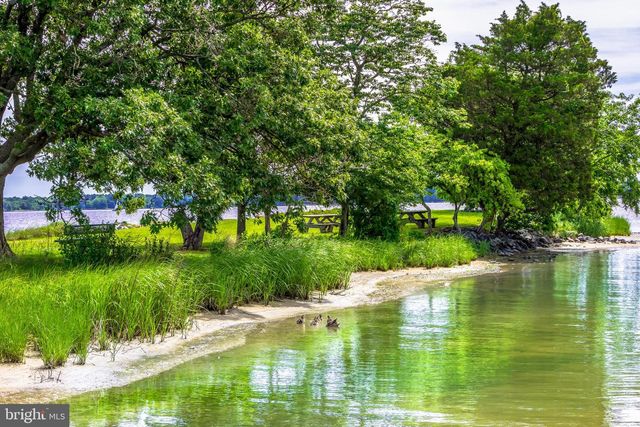 100 BUSH, Saint Michaels, MD 21663