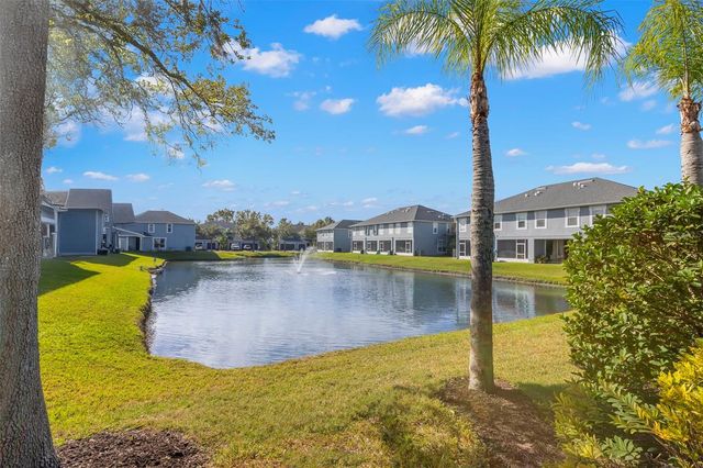 6024 PARKSIDE MEADOW DRIVE, Tampa, FL 33625