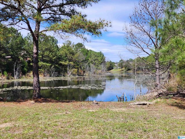15525 TIDE WATER TERRANCE, Brookwood, AL 35444