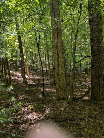 Lt 3079R Monocle Drive, Ellijay, GA 30540