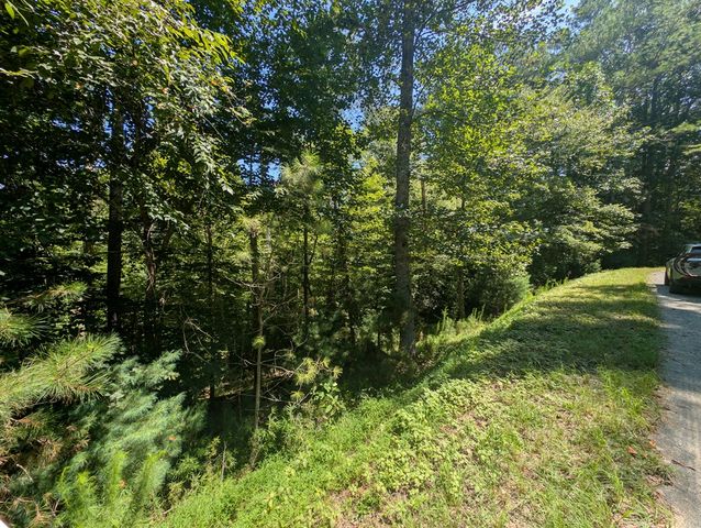 Lt 3079R Monocle Drive, Ellijay, GA 30540