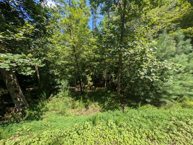 Lt 3079R Monocle Drive, Ellijay, GA 30540