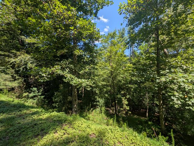 Lt 3079R Monocle Drive, Ellijay, GA 30540