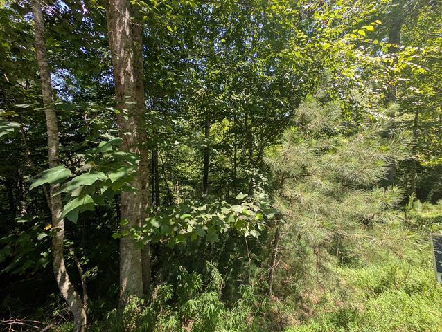 Lt 3079R Monocle Drive, Ellijay, GA 30540